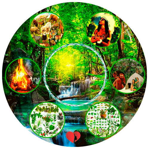 mesa-da-mata-3-mesa-de-jesus-cursos-veronica-aconchego-da-alma-veronica-gauziski-terapias-holist
